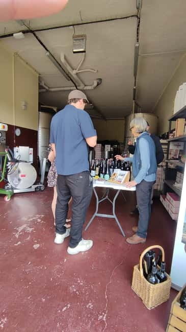 Salou: Priorat tasting Wine-Cellar Tour with hotel pickup - Whats Not Included