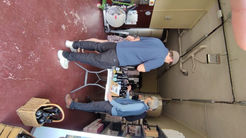 Salou: Priorat tasting Wine-Cellar Tour with hotel pickup - Who This Tour Suits Best