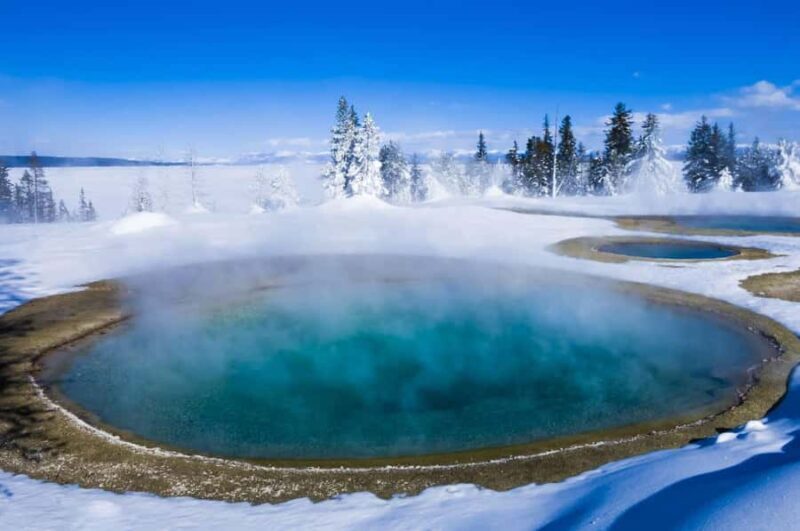 Salt Lake City: 3-Day Yellowstone Winter Wildlife Tour - Who Is This Tour Best For?