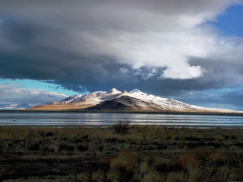 Salt Lake City: Great Salt Lake Antelope Island Guided Tour - Exploring the Great Salt Lake Biosphere