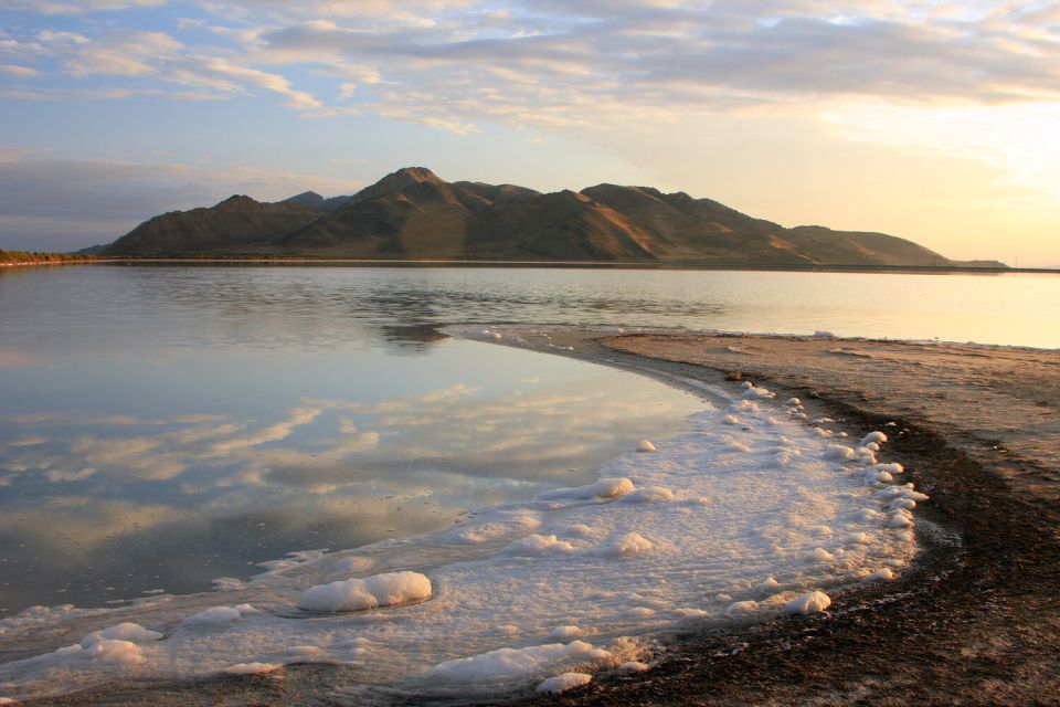 Salt Lake City: Great Salt Lake Guided Tour - Tour Highlights