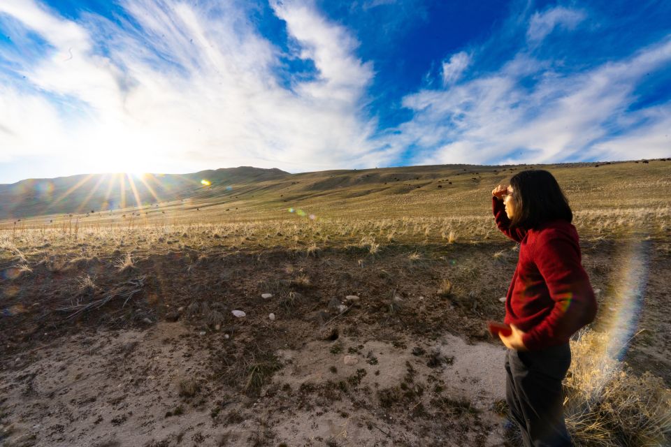 Salt Lake City: Great Salt Lake Wildlife & Sunset Experience - Majestic Wildlife on Antelope Island