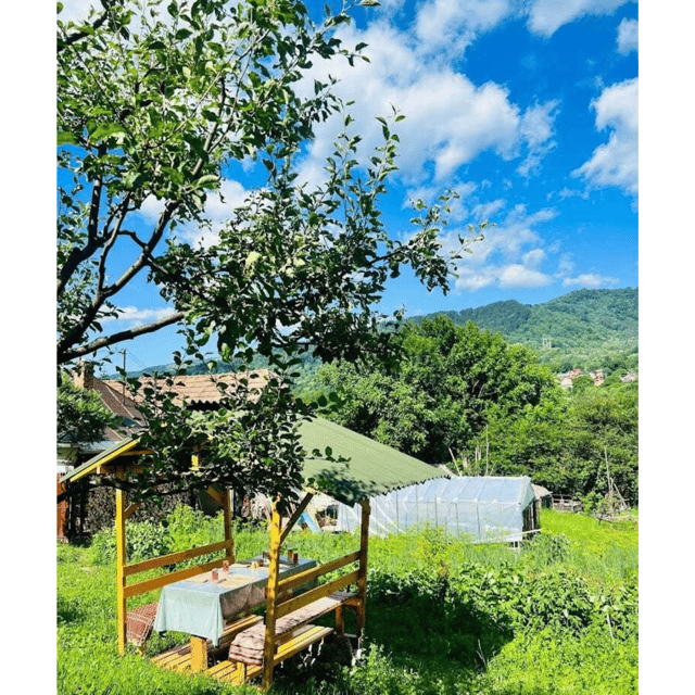 Salted Mine Slanic Prahova & Paltinu Lake - Cultural Insights and Experiences