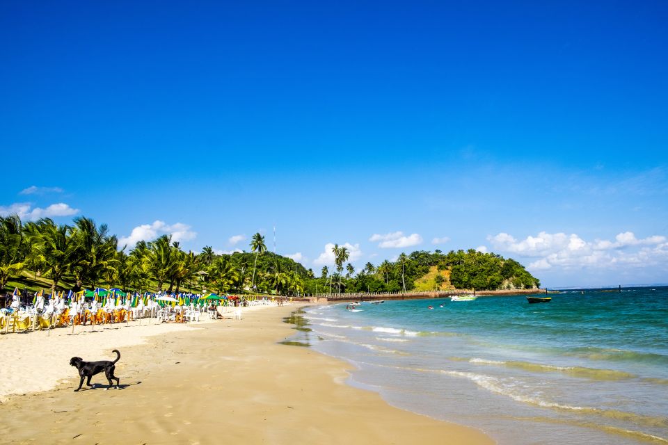 Salvador: Full-Day Boat Tour of Frades and Itaparica Islands - Scenic Views of the Bay