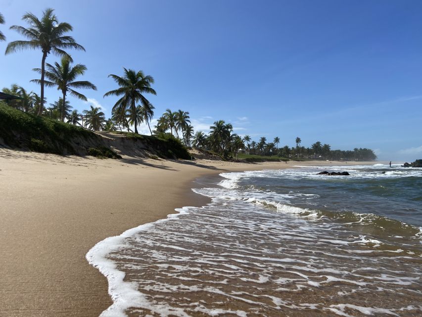 Salvador: Full-Day Boat Tour of Frades and Itaparica Islands - Guest Reviews and Feedback