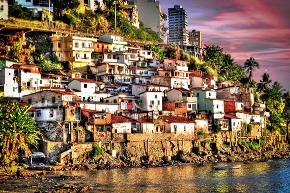 Salvador: Half-Day Saramandaia Favela Tour - Community Background