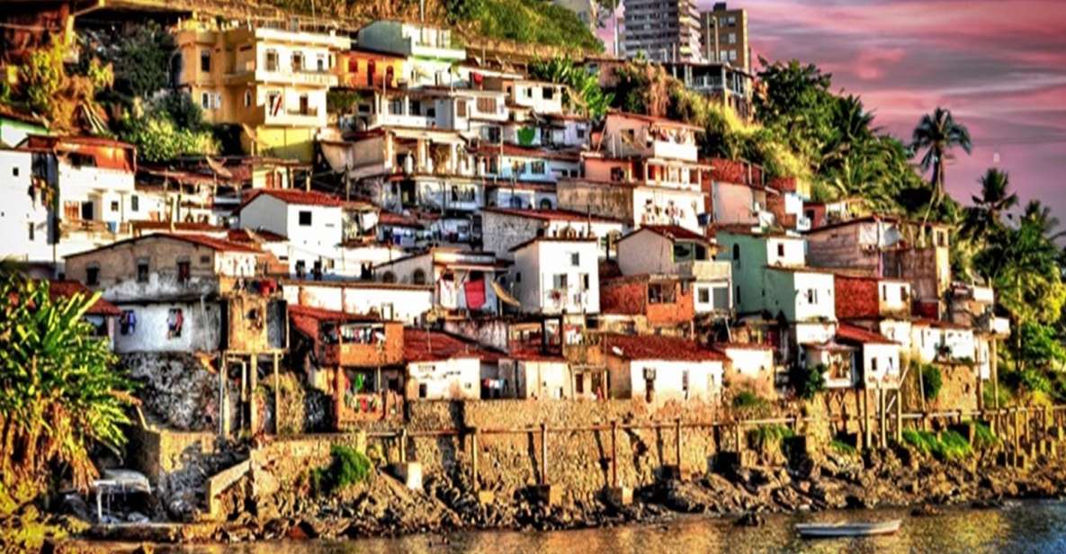Salvador: Half-Day Saramandaia Favela Tour - Project Initiatives