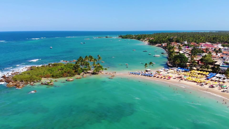 Salvador: Transfer to Morro De São Paulo - Bus and Van Transport