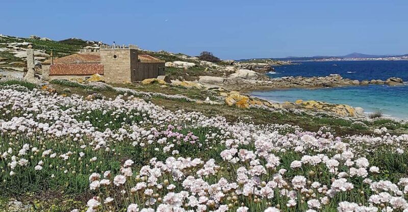 Salvora: Island Tour With Mussel Tasting - Included in the Tour