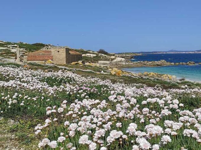 Salvora: Island Tour With Mussel Tasting - Transportation and Accessibility