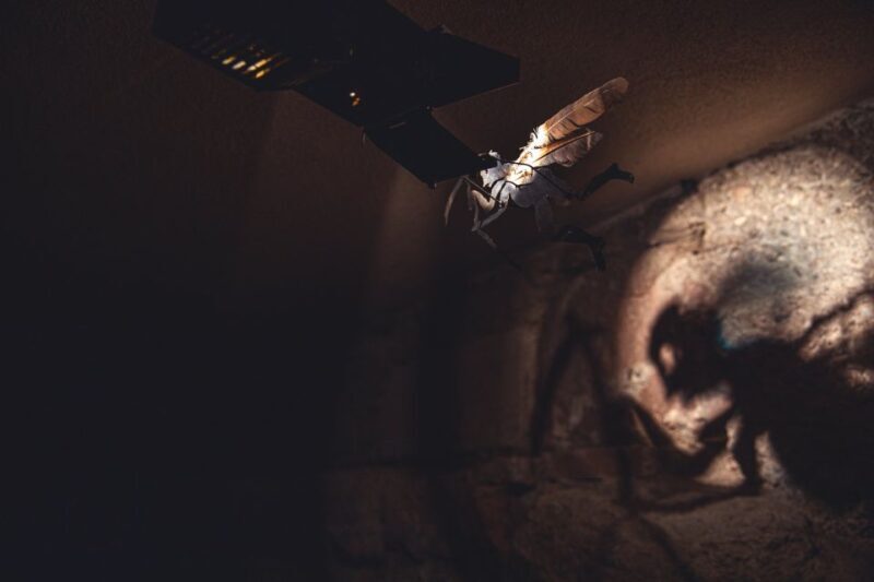 Salzburg Cathedral: Guided Tour with Entry Ticket - What You Can Expect from the Tour