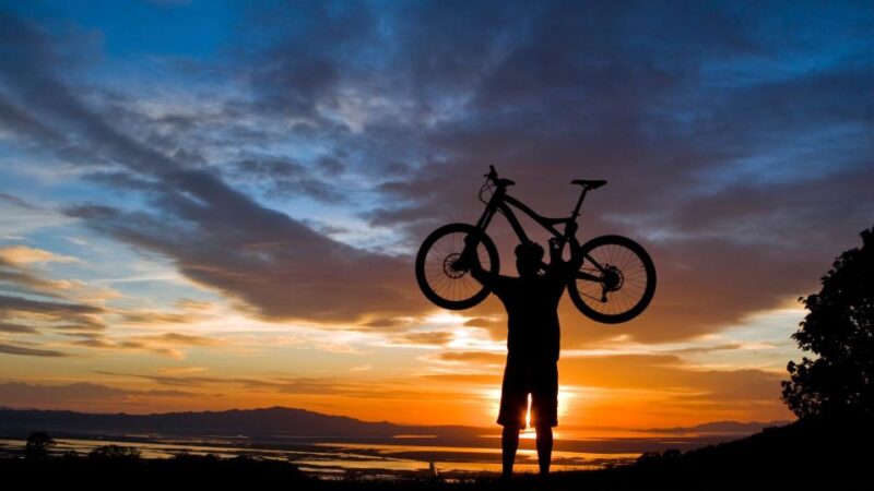 Salzburg: City and Countryside Mountain Bike Tour - Tour Inclusions