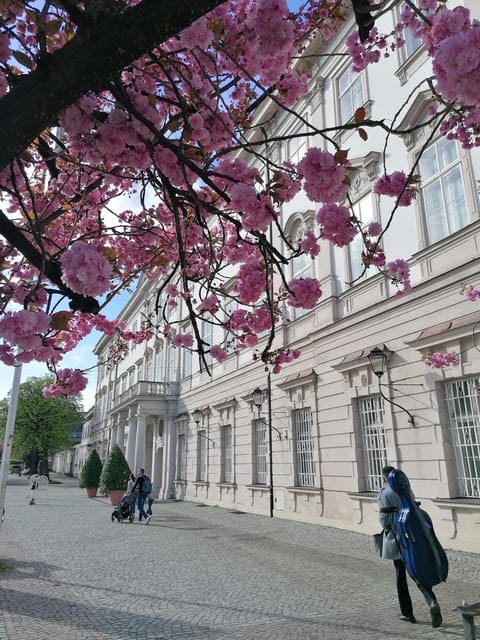 Salzburg: Classical Music Concert at the Mirabell - The Venue: Mirabell Palace Church — A Perfect Musical Backdrop