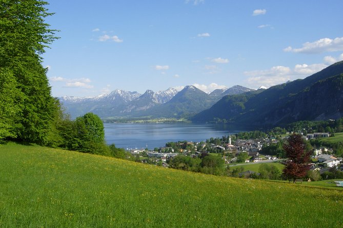 Salzburg Day Trip From Vienna - Traveler Experiences and Reviews