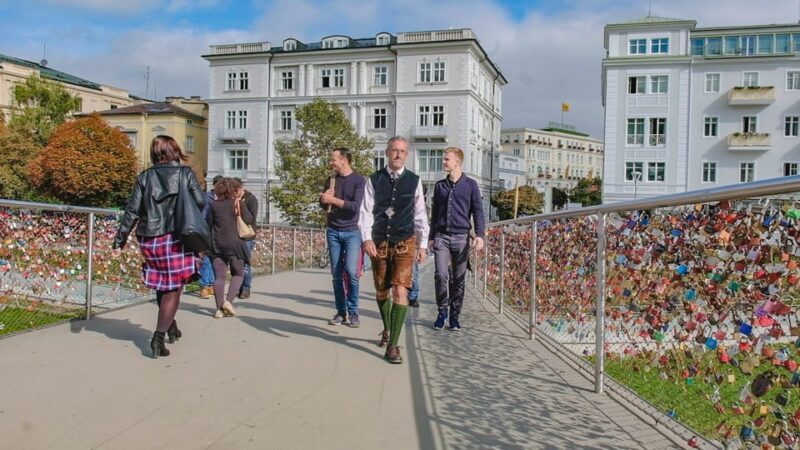 Salzburg: Small-Group Day Trip from Vienna - Who Would This Tour Suit?