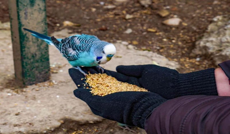 Salzburg Zoo Hellbrunn Skip-the-line Tickets & Private Car - FAQ