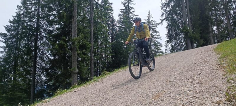 Salzkammergut: Guided e-bike tour to the alpine pastures in Gosau and Hallstatt - Exploring the Salzkammergut by E-bike
