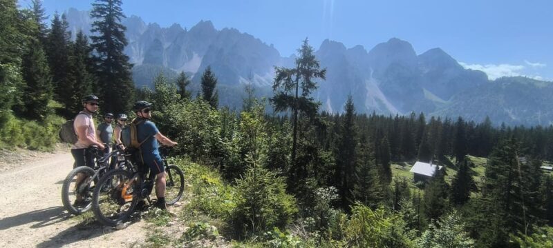 Salzkammergut: Guided e-bike tour to the alpine pastures in Gosau and Hallstatt - Practical Tips for Participants