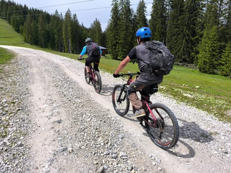 Salzkammergut: Guided e-bike tour to the alpine pastures in Gosau and Hallstatt - Who Will Love This Tour?