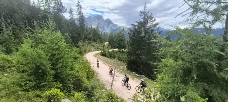 Salzkammergut: Guided e-bike tour to the alpine pastures in Gosau and Hallstatt - FAQ