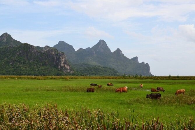 Sam Roi Yod National Park & Praya Nakhon Cave Private Tour From Hua Hin - Highlights of the Excursion