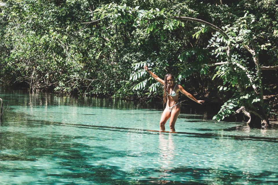 Samana: 3 Hrs. ATV Tour Transportation Included. - Key Points