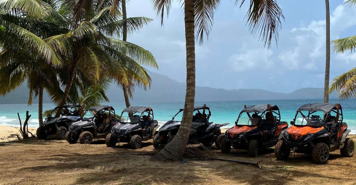 Samana: 3 Hrs Buggy Tour With Transportation Included - Tour Highlights