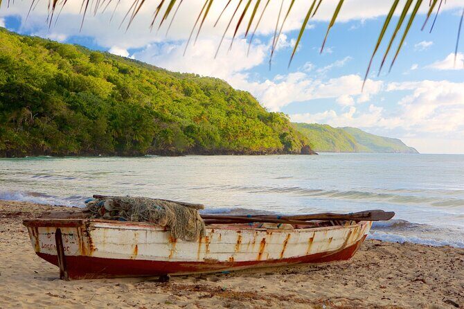 Samana Adventure: Bacardi Island & El Limón Waterfall Combo - Value and Overall Impression