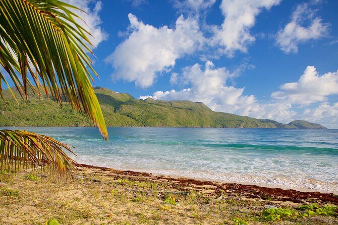 Samana Adventure: Bacardi Island & El Limón Waterfall Combo - The Sum Up