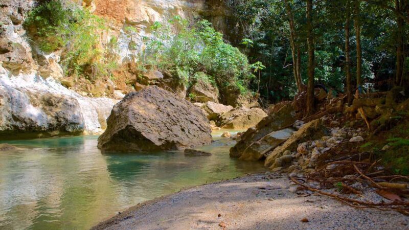 Samana Adventure: Cayo Levantado & El Limón Waterfall combo - The Sum Up