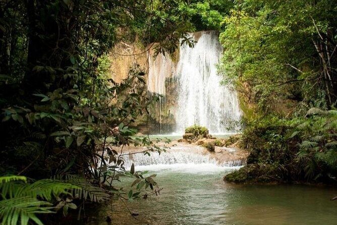 Samaná Adventure El Limón Waterfall Cayo Levantado Island Tour - Exploring the Itinerary: What to Expect