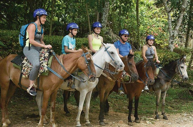 Samaná and Cayo Lemon Waterfall from Punta Cana - Practical Tips for Potential Participants