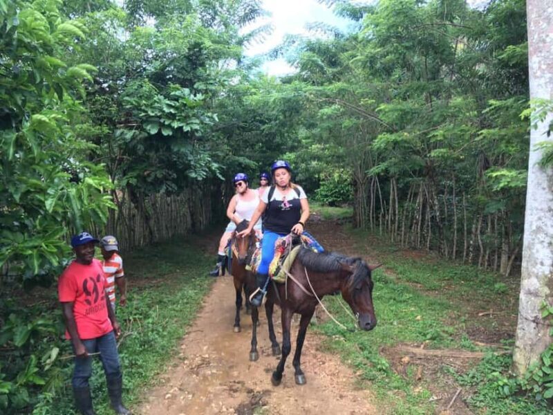 Samana, Ballenas, Cayo Levantado, Horseback Riding - A Day in Samaná: What to Expect