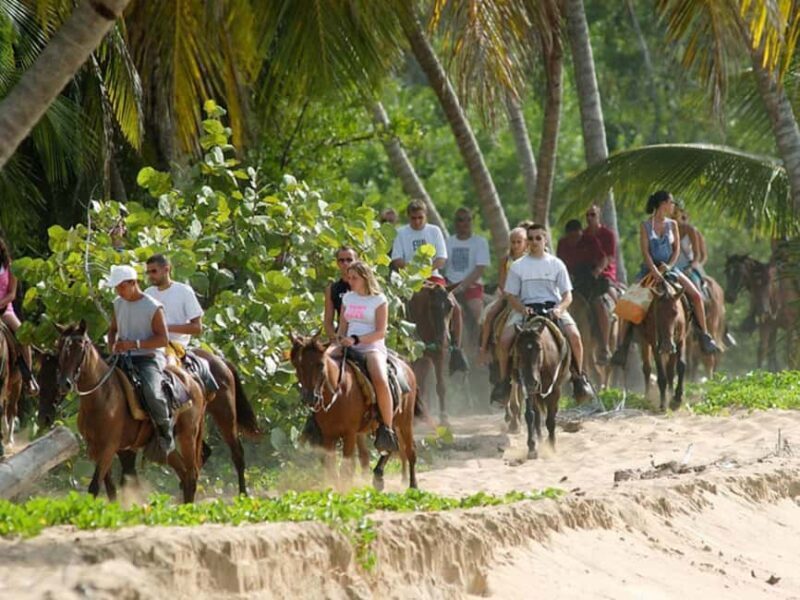 Samana, Ballenas, Cayo Levantado, Horseback Riding - Who Should Consider This Tour?
