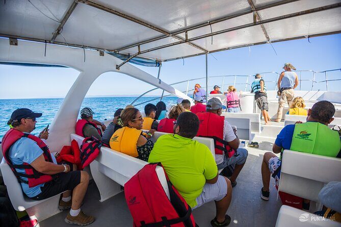 Samana Bay and Cayo Levantado Whale Watching Tour from Punta Cana - FAQ