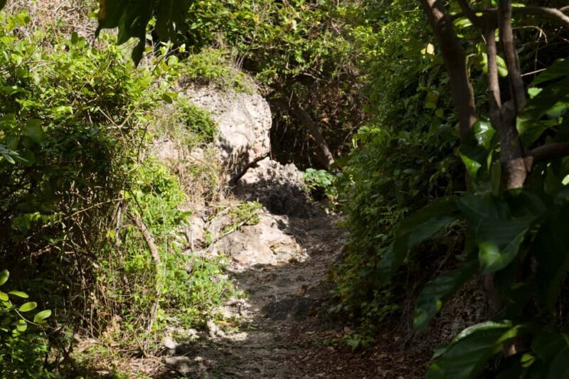 Samana Bay: Cayo Levantado Snorkeling and Kayaking Tour - Who Is This Tour Best For?  