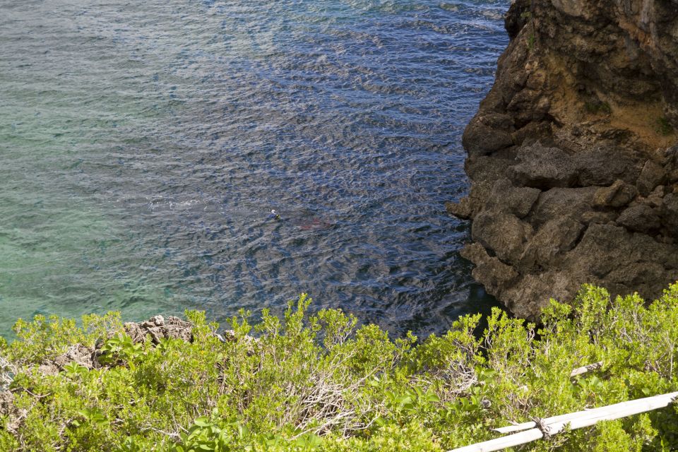 Samana Bay: Cayo Levantado Snorkeling and Kayaking Tour - Swimming in Samana Bay