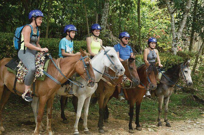 Samaná, Cayo Lemon Waterfall from Punta Cana - FAQ