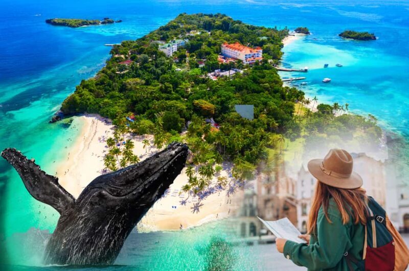 Samana: City Tour with Whale Watching & Cayo Levantado Stop - An In-Depth Look at the Tour