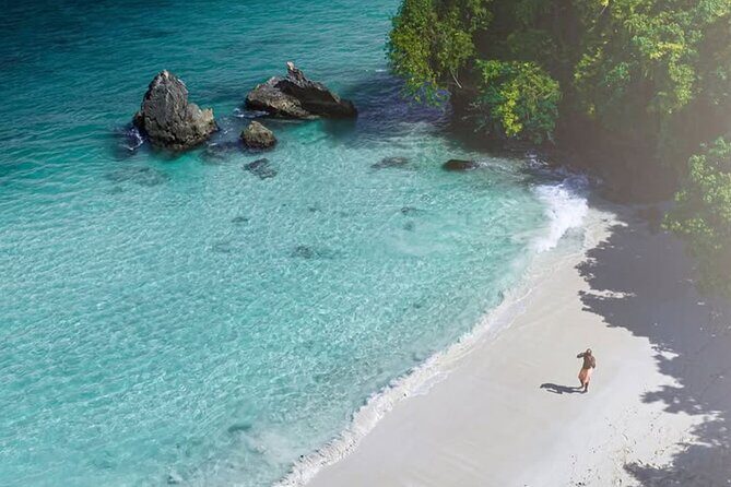 Samana Day Trip from Puntacana and El limon Waterfall - A Day in the Life: What to Expect from the Samana Tour