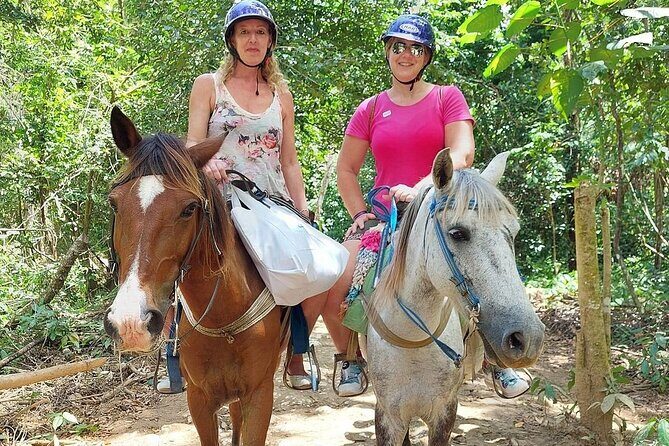 Samaná El Limón Waterfall and Isla Cayo Levantado from Punta Cana - The Sum Up