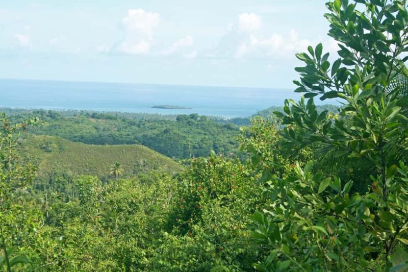 Samaná: El Limón Waterfall Horseback Riding Tour - The Experience in Detail