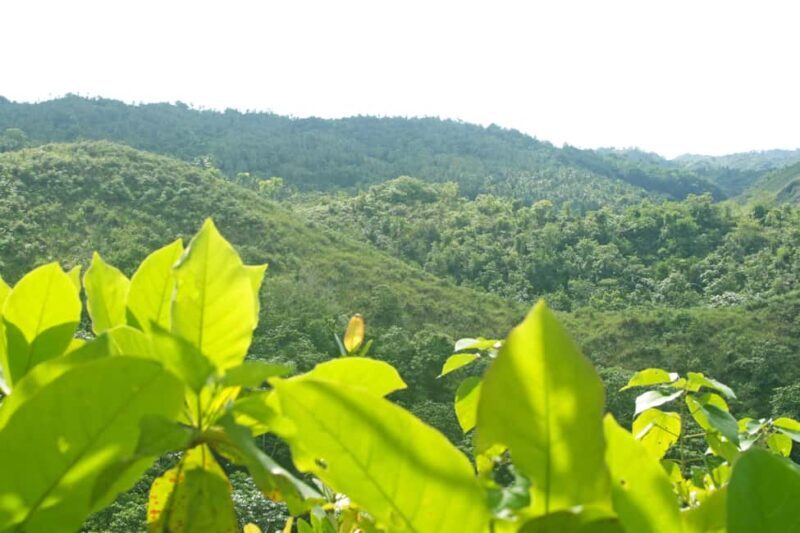 Samaná: El Limón Waterfall Horseback Riding Tour - The Sum Up: Is This Tour Worth It?