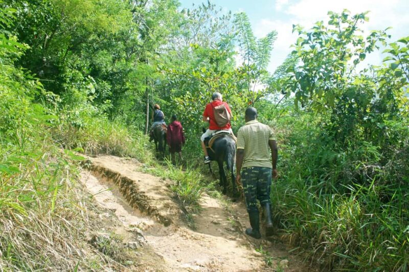 Samaná: El Limón Waterfall Horseback Riding Tour - Practical Tips for Travelers