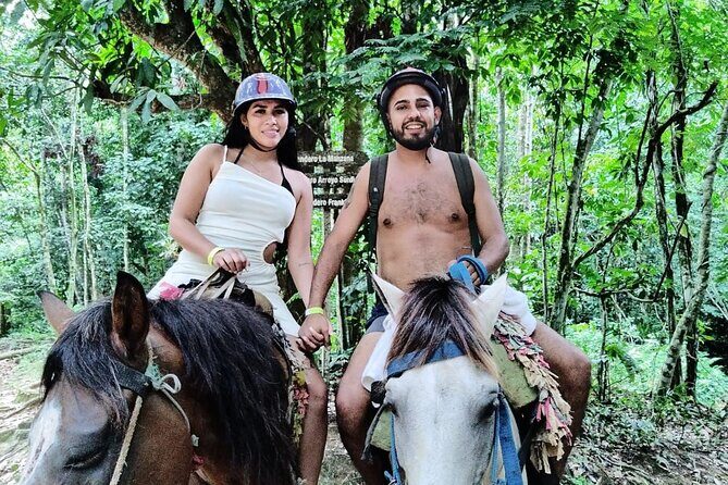 Samana full day, Risen Key, Horses, Lemon waterfall - The Sum Up