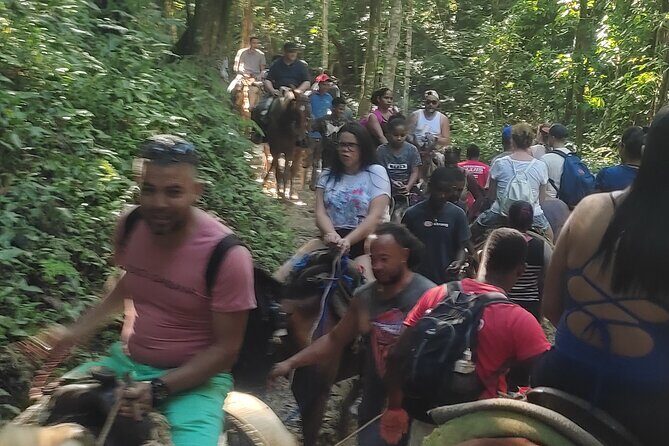 Samana Full Day Waterfall, Safari and Beach - The Sum Up