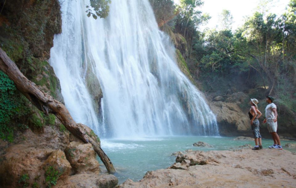 Samana: Guided Day Trip With Buffet Lunch and Whale Watching - Highlights