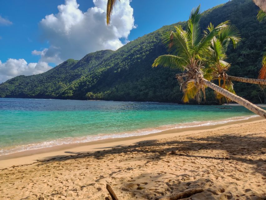 Samana: Hermit & Onda Beach Tour - Pricing