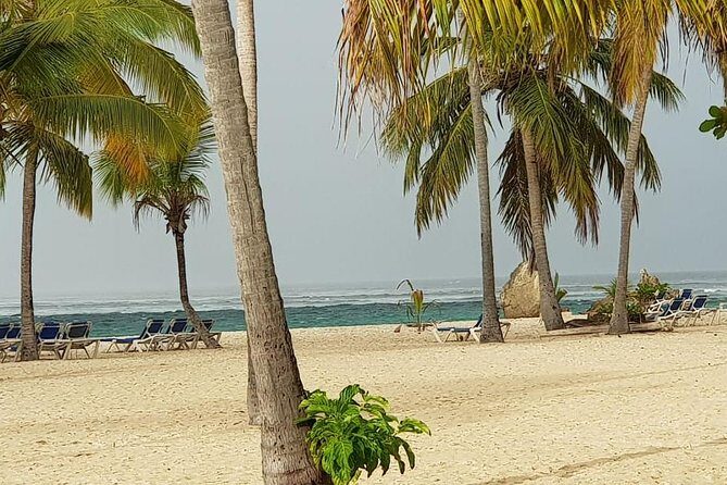 Samana - Key Levantado - Limon Waterfall - Horseback Riding - Practical Details – What to Expect and How to Prepare