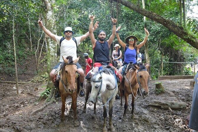 Samana - Key Levantado - Limon Waterfall - Horseback Riding - FAQ